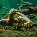 Zoo und so - Tierisch wild!