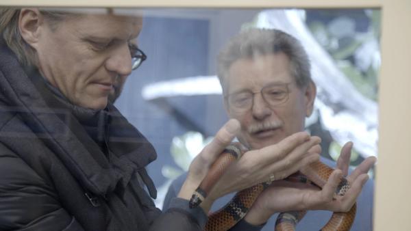Bild 1 von 13: Im Bild: Gery Seidl mit einer Schlange im Haus des Meeres.