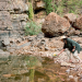 Mystery Road - Verschwunden im Outback