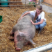 Tierbabys - süß und wild!