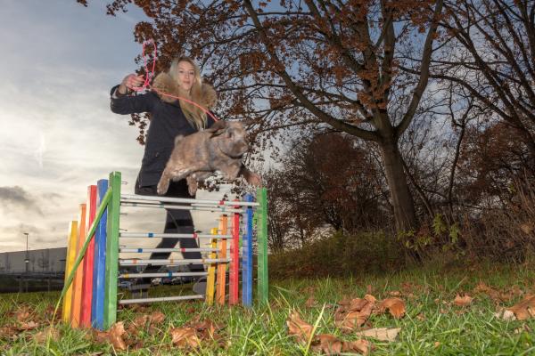 Bild 1 von 8: .