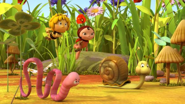 Bild 1 von 6: Alle warten auf das Startsignal.