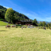 Bild 16