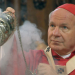 Der Wiener Stephansdom - Die Wiedergeburt eines Wahrzeichens