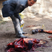 CSI: New York
