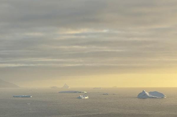 Bild 1 von 3: Eisberge prägen das Ökosystem: Sie ebnen den Meeresboden, gestalten die Landschaft und bieten zahlreichen Wildtieren einen wichtigen Lebensraum.