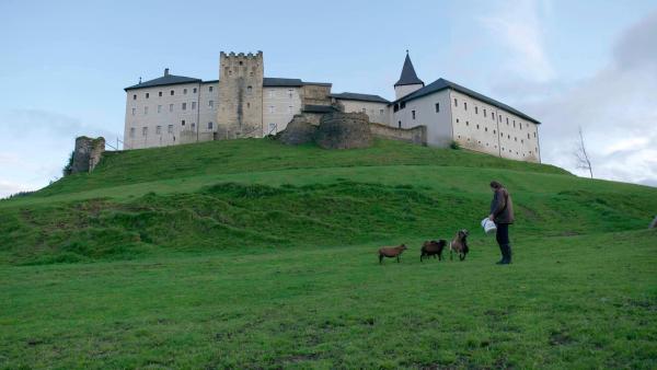 Bild 1 von 18: Im Bild: Tierpark unterm Schloss Strassburg.