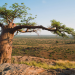 Faszination Afrika