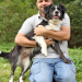 Der Hundeprofi