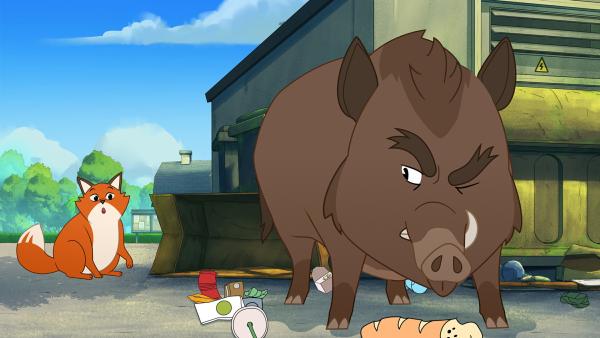 Bild 1 von 3: Essensreste aus den Müllcontainern rund um das Trafohäuschen der Stadt Müggeldorf locken die Wildtiere an. So auch Fuchs Iwo (h.) und Wildschwein Grrmpf. Doch wirklich fündig werden sie nicht.