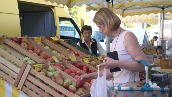 Bild 1 von 10: Im Bild: Südsteiermarkt im Zentrum von Leibnitz.