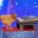 Das Supertalent - weltweit
