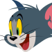 Die Tom und Jerry Show
