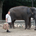 Der Zoowärter