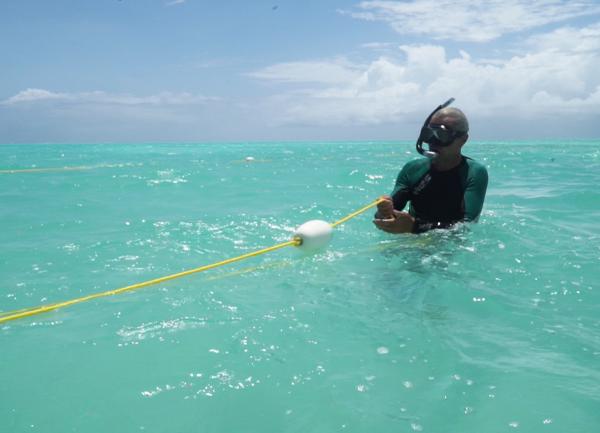 Bild 1 von 2: Christian Vaterlaus spannt die Schnüre für eine neue Schwammfarm.