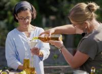 Die Ernährungs-Docs