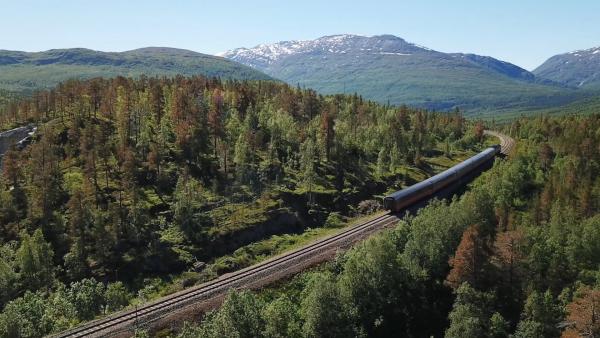 Bild 1 von 3: Endlose Wälder, mächtige Berge: Die Nordlandbahn auf ihrem Weg durch wilde Natur Norwegens.