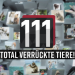 111 total verrückte Tiere!