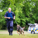 Hunde im Einsatz