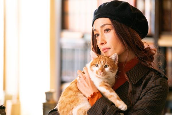 Bild 1 von 14: Die Killerin Anna (Maggie Q) führt zum Schein eine Buchhandlung.