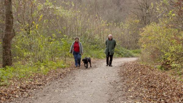 Bild 1 von 6: Im Bild: Wanderer im Wald.
