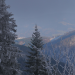 Ein Winter im Schwarzwald