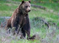 Amerikas Naturwunder