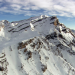Tierwelt der Alpen