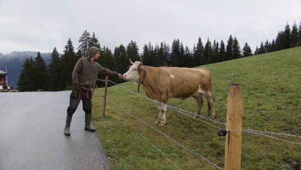 Bild 1 von 2: .