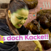 KiKA LIVE
