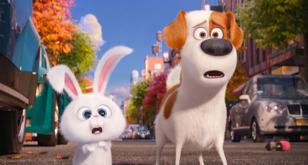 Bild 1 von 2: Pampered terrier mix Max (LOUIS C.K.) and adorable and deranged bunny Snowball (KEVIN HART) in Illumination Entertainment and Universal Pictures? The Secret Life of Pets, a comedy about the lives our pets lead after we leave for work or school each day. Credit: Illumination Entertainment and Universal Pictures