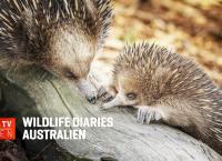 Wildlife Diaries Australien