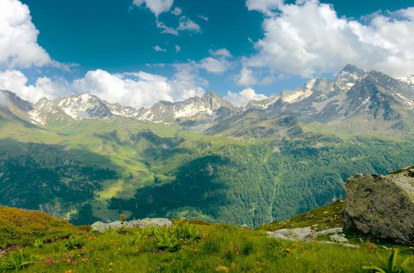 Bild 1 von 2: Panoramabild der Almwiese im Valgrisenche