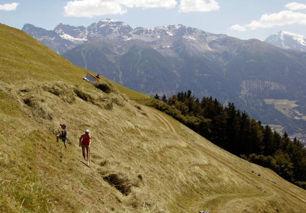 Bild 1 von 15: Nadia Stecher bei der Feldarbeit am Gial-Hof, Schluderns.
