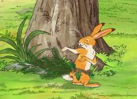 Weißt du eigentlich, wie lieb ich dich hab? - Die Abenteuer des kleinen Hasen