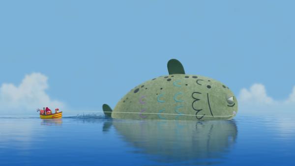 Bild 1 von 3: Gill, den legendären Riesenfisch, gibt es wirklich und er ist sogar sehr freundlich!