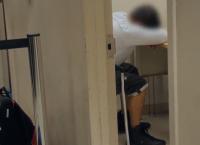 Airport Security USA