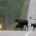 Kanadas Nationalparks
