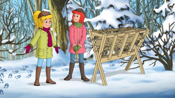 Bild 1 von 1: Im Bild: Bibi und Tina hoffen, dass der Elch an ihrer Futterkrippe auftaucht.