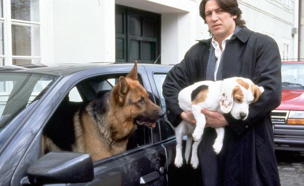 Bild 1 von 6: Im Bild: Rex kann seinen Blick nicht von der Beagle-Dame wenden, die Kommissar Richie Moser (Tobias Moretti) mitnimmt.