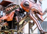 Epic Exploring: Going Local