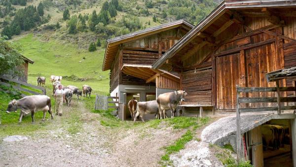 Bild 1 von 21: Im Bild: Brollerhof.