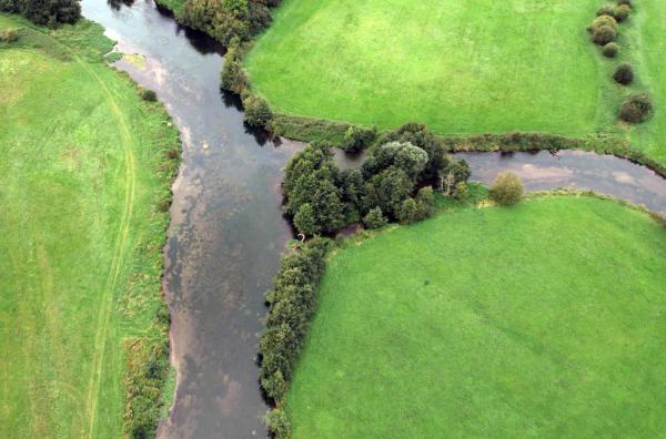 Bild 1 von 6: Dank der Bemühungen engagierter Bürger sind die Forellen in die Normandie zurückgekehrt und besiedeln nun wieder den Fluss Risle.