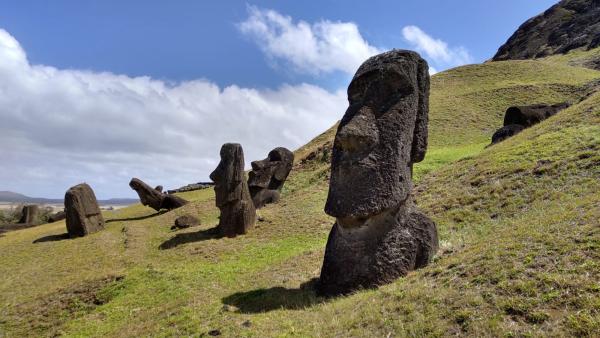 Bild 1 von 2: Rund 1000 riesige Steinskulpturen prägen das Landschaftsbild der Osterinsel. Die Moai sind über die ganze Insel verteilt. Viele von ihnen sind umgestürzt.