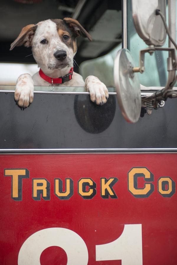 Bild 1 von 9: Chicago Fire Season1 EP Viral,Chicago Fire Staffel1 EP Ein Blick ist nur ein Blick