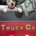 Chicago Fire