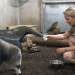 Frau Doktor und die wilden Tiere