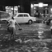 Berlin - Schicksalsjahre einer Stadt