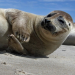 Die Ostsee
