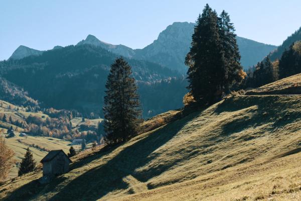 Bild 1 von 1: 